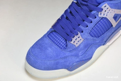 Hyperoad Jordan Air Gators